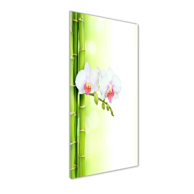 Quadro stampa su vetro acrilico verticale Orchidea e bambù