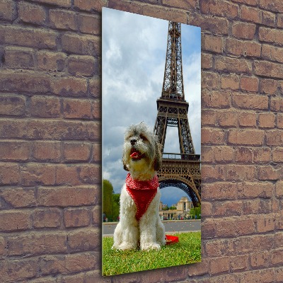 Quadro acrilico verticale Un cane a Parigi