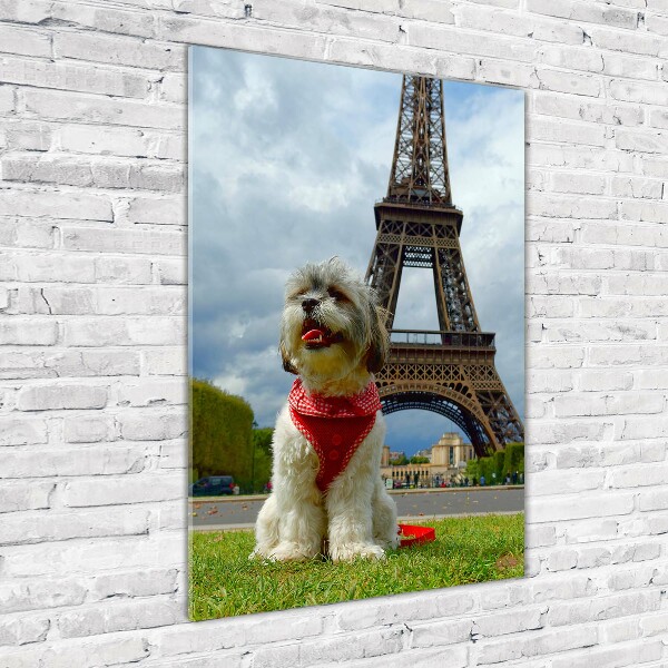 Quadro acrilico verticale Un cane a Parigi