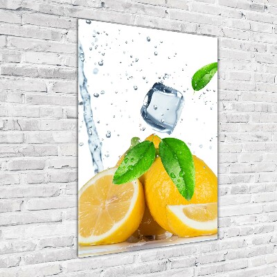Quadro acrilico verticale Limone e ghiaccio