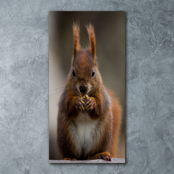Quadro in vetro acrilico verticale Scoiattolo