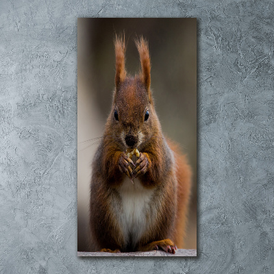 Quadro in vetro acrilico verticale Scoiattolo