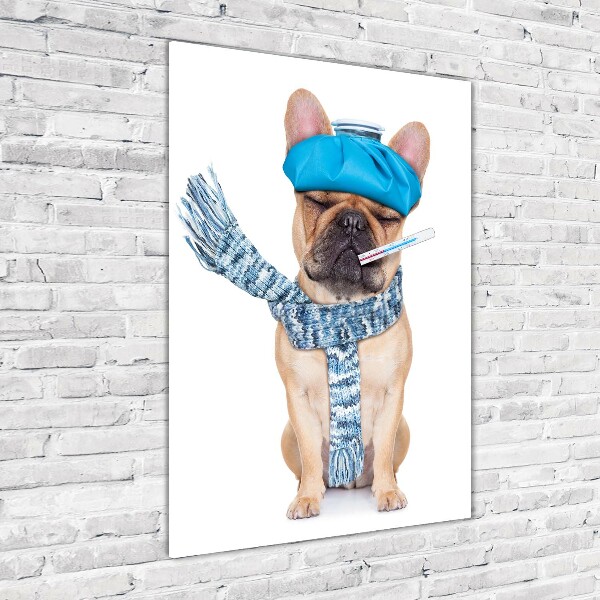 Quadro in vetro acrilico verticale Cane malato