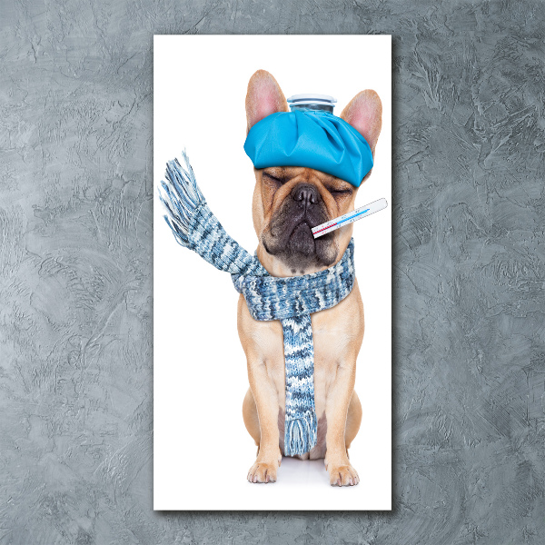 Quadro in vetro acrilico verticale Cane malato