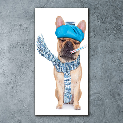 Quadro in vetro acrilico verticale Cane malato