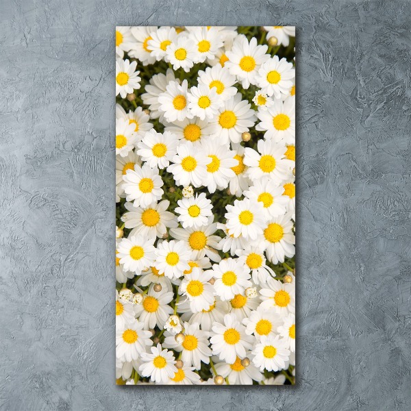 Quadro stampa su vetro acrilico verticale Fiori di margherita