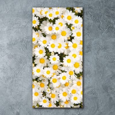 Quadro stampa su vetro acrilico verticale Fiori di margherita