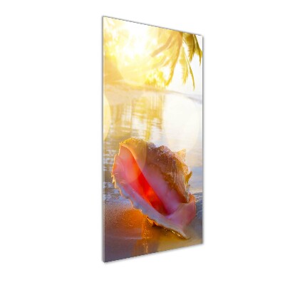 Quadro vetro acrilico verticale Una conchiglia sulla spiaggia