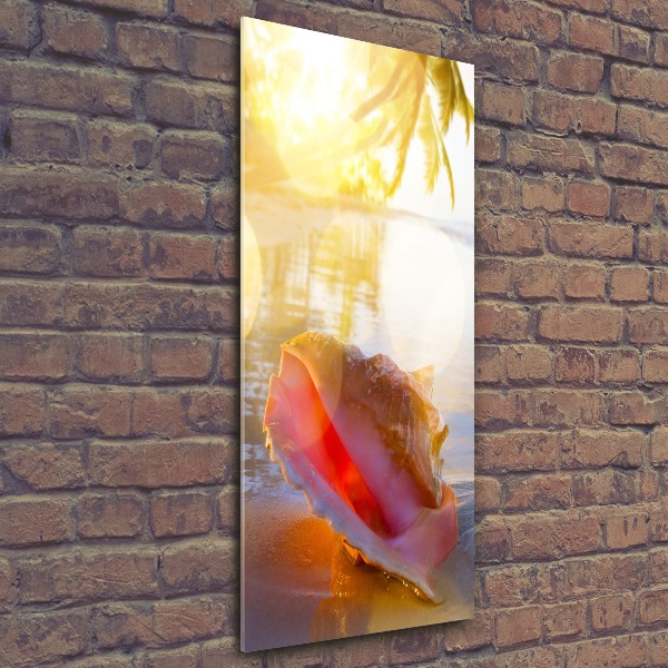 Quadro vetro acrilico verticale Una conchiglia sulla spiaggia
