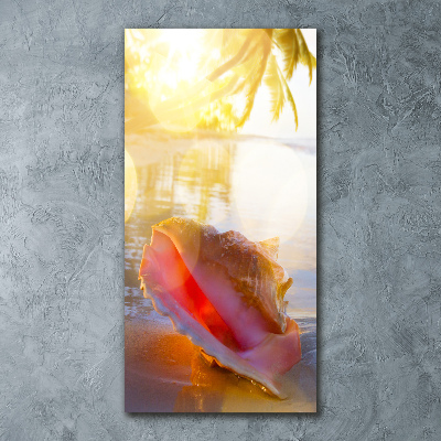 Quadro vetro acrilico verticale Una conchiglia sulla spiaggia