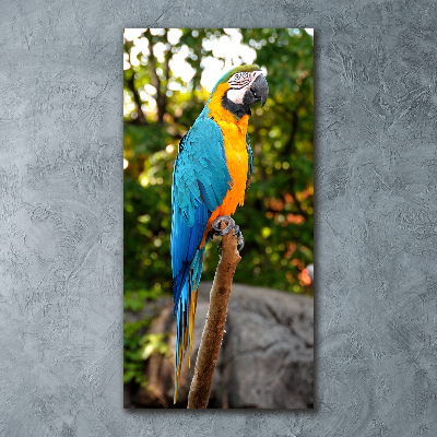 Quadro acrilico verticale Ara Pappagallo