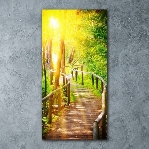 Quadro in vetro acrilico verticale Sentiero nella foresta