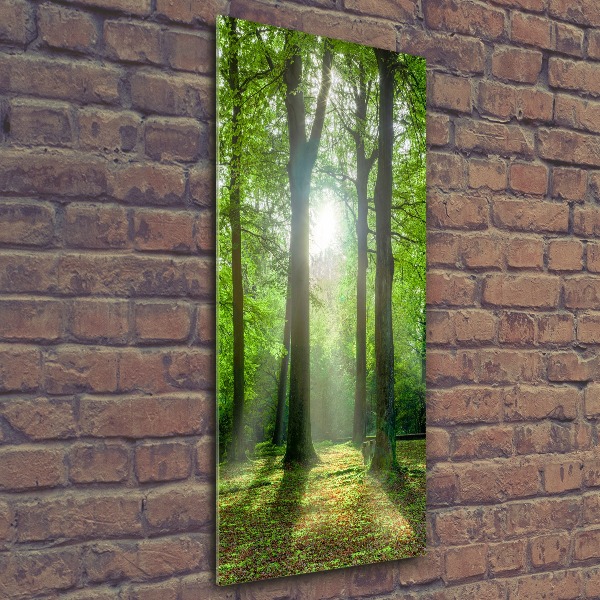 Quadro acrilico verticale Il sole nella foresta
