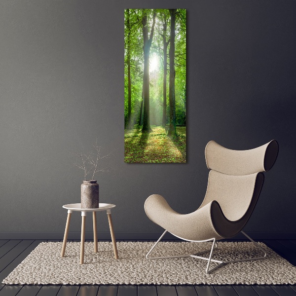 Quadro acrilico verticale Il sole nella foresta