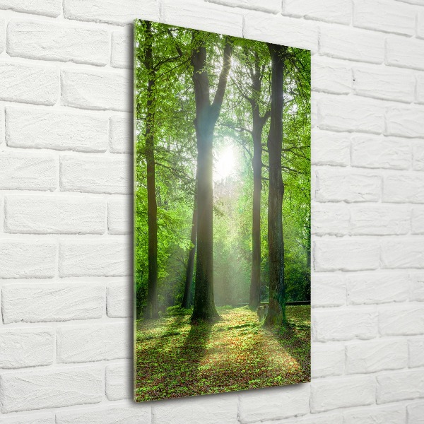 Quadro acrilico verticale Il sole nella foresta