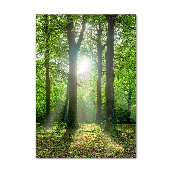 Quadro acrilico verticale Il sole nella foresta