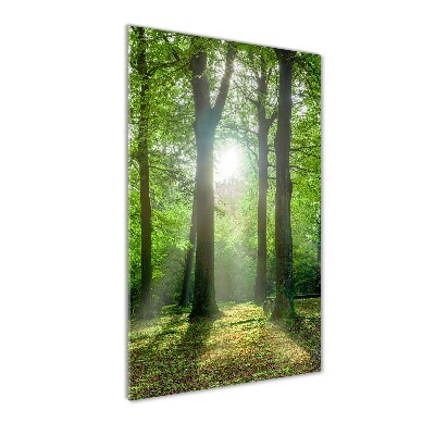Quadro acrilico verticale Il sole nella foresta
