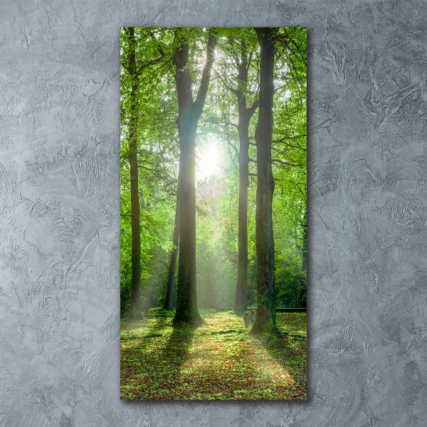 Quadro acrilico verticale Il sole nella foresta