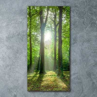 Quadro acrilico verticale Il sole nella foresta