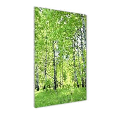 Quadro stampa su vetro acrilico verticale Foresta di betulle