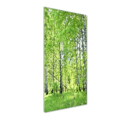 Quadro stampa su vetro acrilico verticale Foresta di betulle
