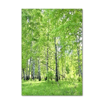 Quadro stampa su vetro acrilico verticale Foresta di betulle