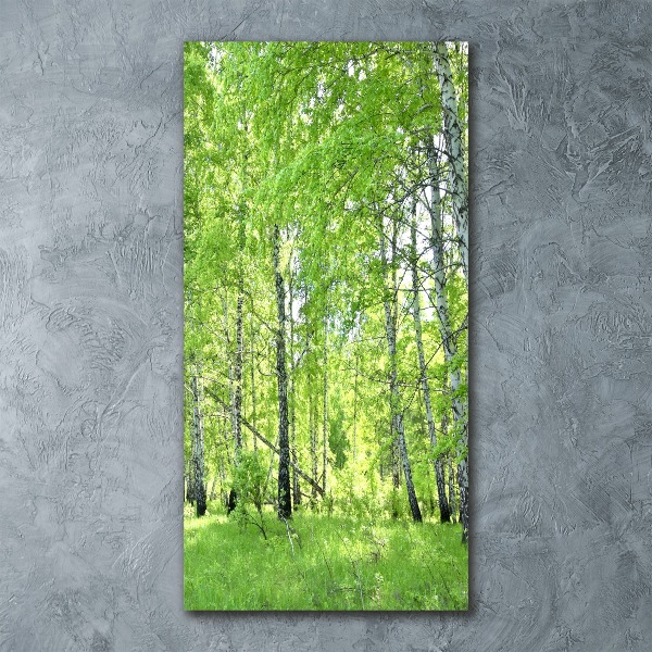 Quadro stampa su vetro acrilico verticale Foresta di betulle