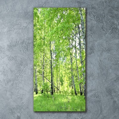 Quadro stampa su vetro acrilico verticale Foresta di betulle