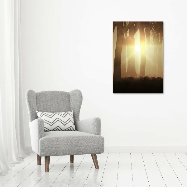 Quadro in vetro acrilico verticale Nebbia nella foresta