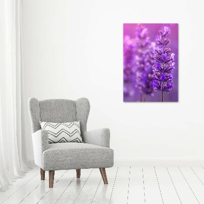 Quadro stampa su vetro acrilico verticale Campo di lavanda