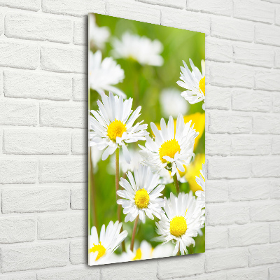 Quadro in vetro acrilico verticale Margherite