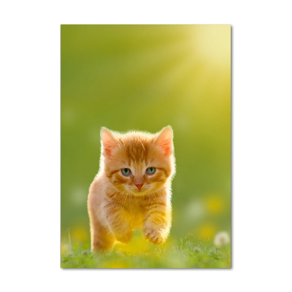 Quadro stampa su vetro acrilico verticale Gatto rosso