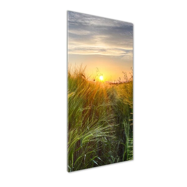 Quadro in vetro acrilico verticale Campo di grano