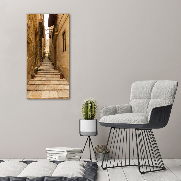 Quadro stampa su vetro acrilico verticale Le strade di Malta