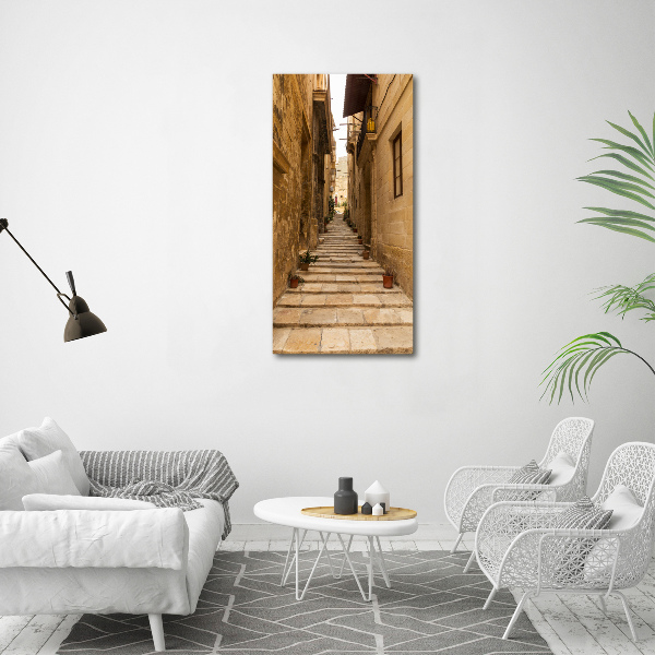 Quadro stampa su vetro acrilico verticale Le strade di Malta