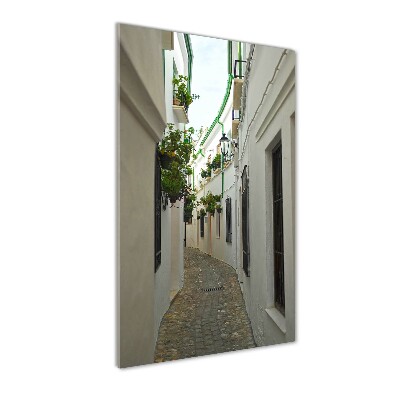 Quadro acrilico verticale Le strade dell'Andalusia