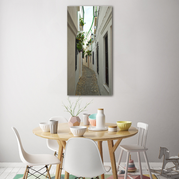 Quadro acrilico verticale Le strade dell'Andalusia