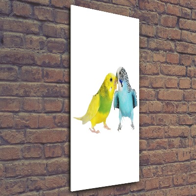 Quadro acrilico verticale Pappagalli ondulati