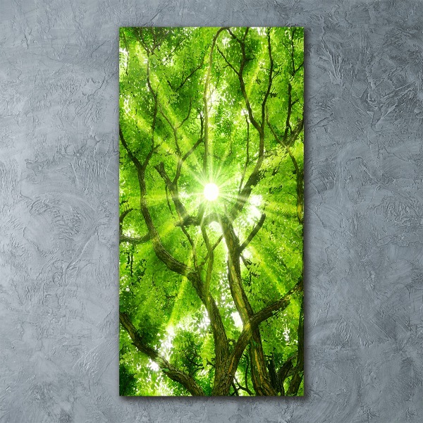 Quadro stampa su vetro acrilico verticale Chioma dell'albero