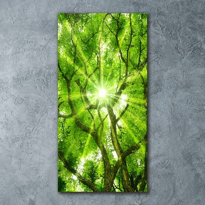 Quadro stampa su vetro acrilico verticale Chioma dell'albero