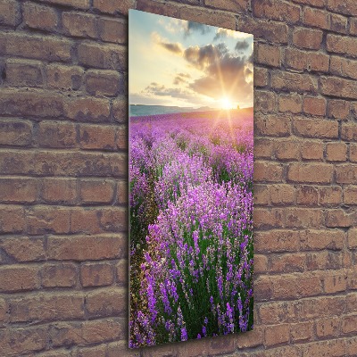 Quadro in vetro acrilico verticale Campo di lavanda