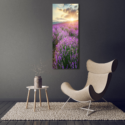 Quadro in vetro acrilico verticale Campo di lavanda