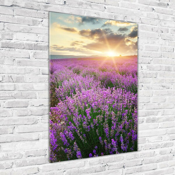 Quadro in vetro acrilico verticale Campo di lavanda