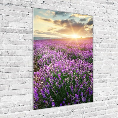 Quadro in vetro acrilico verticale Campo di lavanda