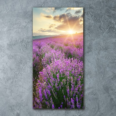 Quadro in vetro acrilico verticale Campo di lavanda