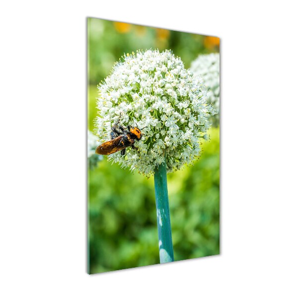 Quadro in vetro acrilico verticale Fiori d'aglio