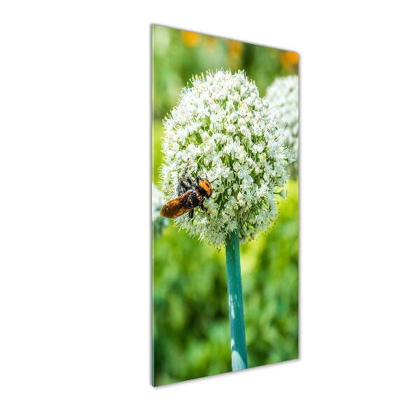 Quadro in vetro acrilico verticale Fiori d'aglio