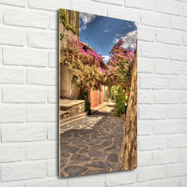 Quadro stampa su vetro acrilico verticale Strade francesi