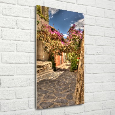 Quadro stampa su vetro acrilico verticale Strade francesi