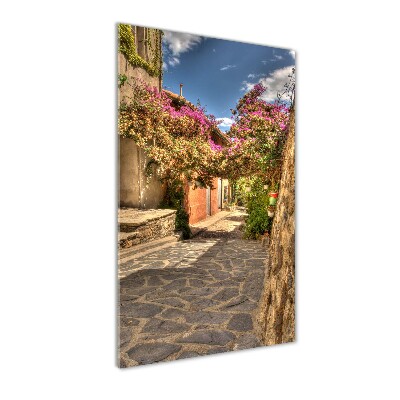 Quadro stampa su vetro acrilico verticale Strade francesi